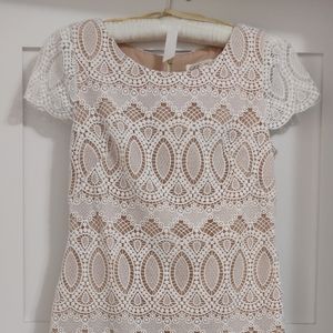 Eliza J Lace Cap Sleeve Shift Dress